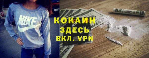 индика Алзамай