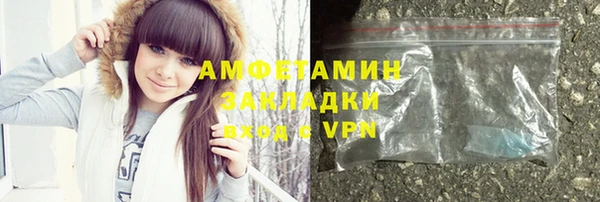 индика Алзамай