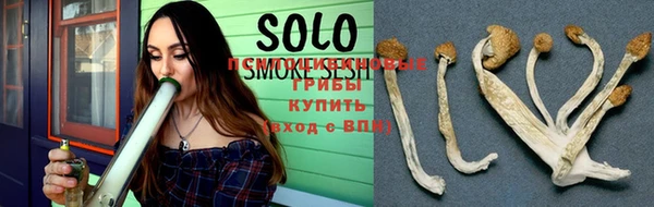 прущие грибы Алексеевка