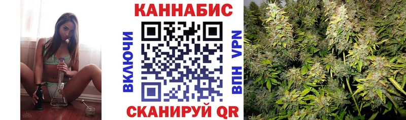 Шишки марихуана SATIVA & INDICA  Петровск-Забайкальский 